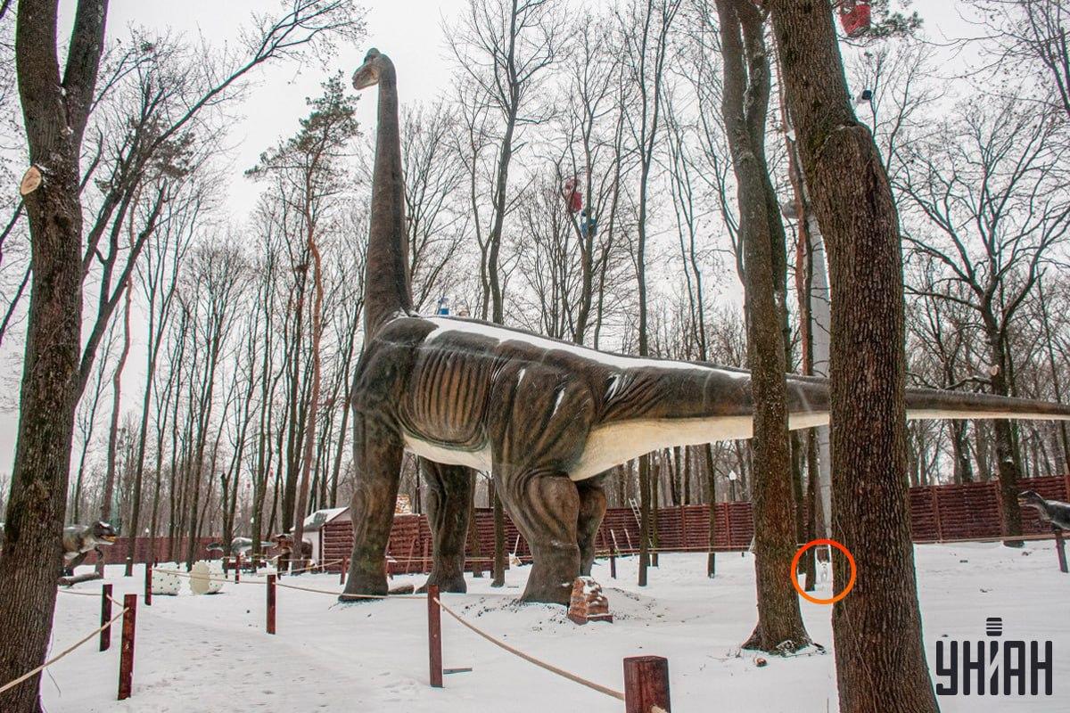 Šuo buvo netoli apatinio kairiojo nuotraukos / koliažo Moje kampo