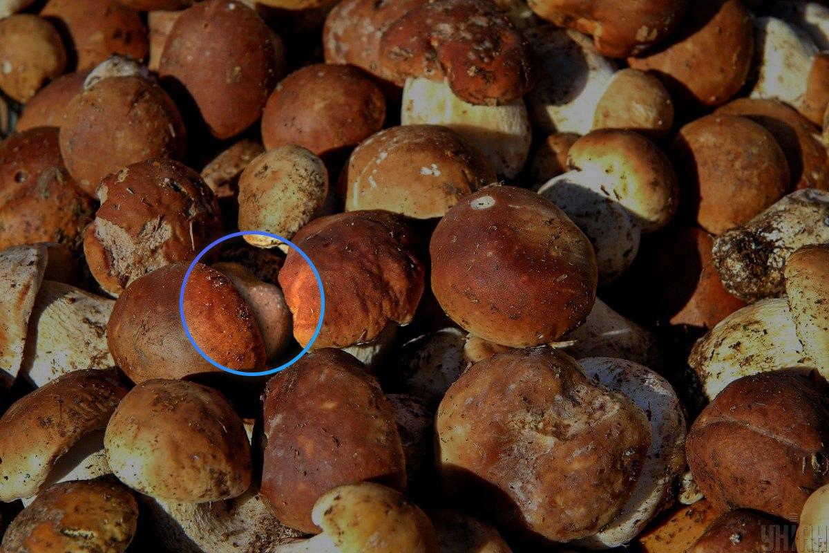 Akmuo buvo beveik optinės iliuzijos / Moje koliažo centre