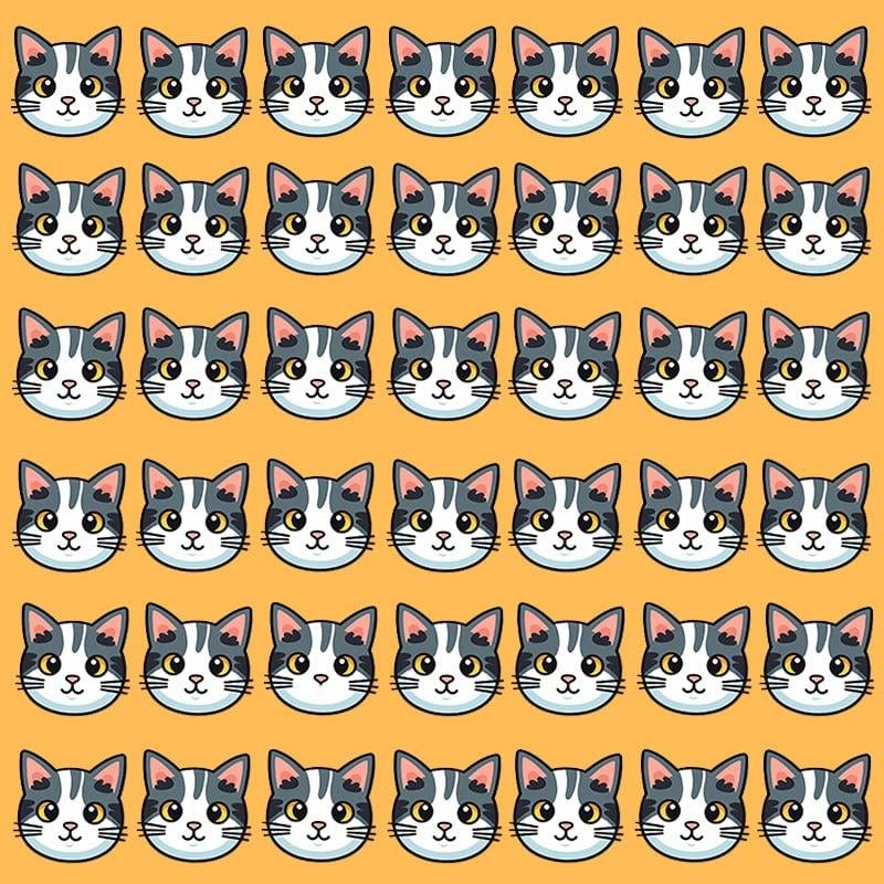 Ši optinė apgaulė įmanoma tik žmonėms, turintiems puikų IQ / vaizdą Moje