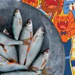 Reikia rasti žuvį tarp kačių: įdomus galvosūkis žmonėms, turintiems erelio