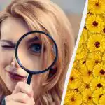 Tik 1 iš 10 žmonių paveiksle elnią suras per 7