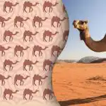 Tik šiuolaikinis „Šerlokas Holmsas“ ras keistą kupranugarį: mįslę išmanausiems