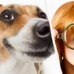 Tik tikras IQ titanas šunį sniege išvys per 10 sekundžių: